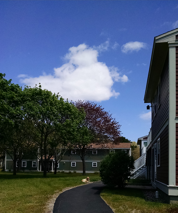 Mashpee Village Apartments, 1 Wampanaog Drive, Mashpee, MA RentCafe